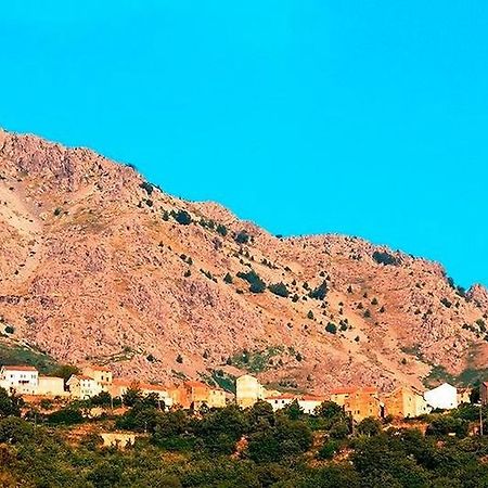 Auberge Casa Mathea Poggio-di-Venaco Eksteriør bilde