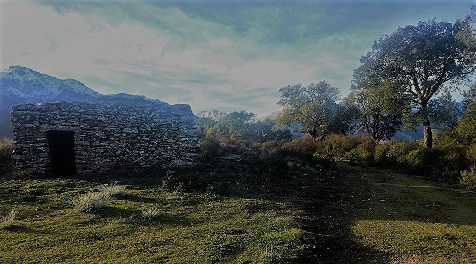 Auberge Casa Mathea Poggio-di-Venaco Eksteriør bilde